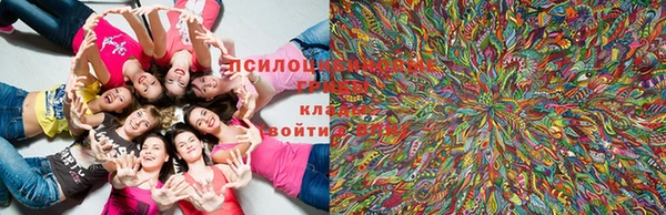 гашиш Вяземский