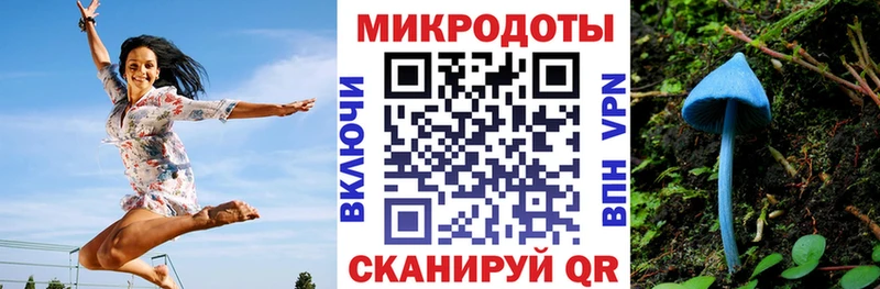Купить закладки  Обь  Галлюциногенные грибы Psilocybe 